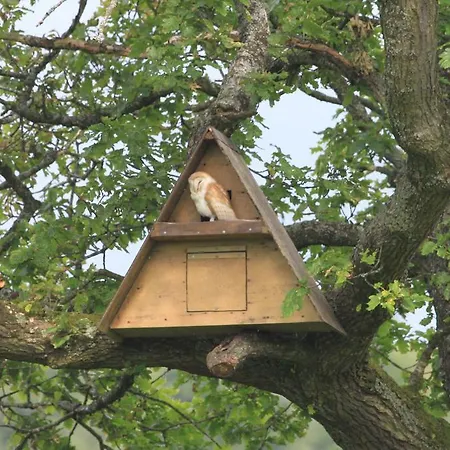 بيت ضيافة Ouse Bridge House 4*